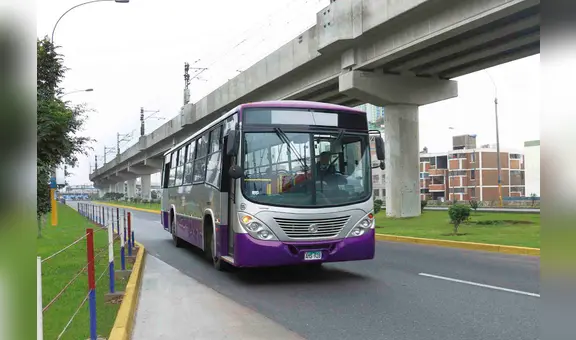Corredor Morado: ¿por qué todas sus líneas podrían dejar de operar indefinidamente?