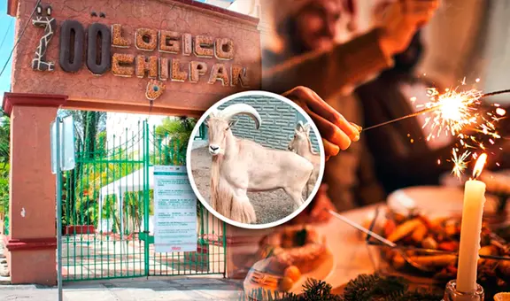 Denuncian a zoológico por sacrificar 4 cabras y comérselas en fiesta de Año Nuevo en México