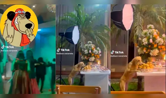Perrito fue captado llevándose comida de una fiesta mientras todos bailaban