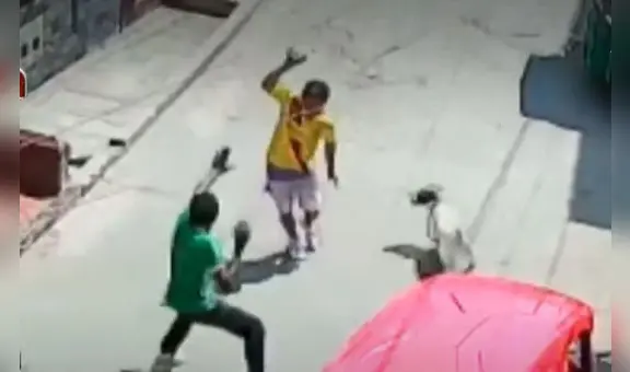 SMP: perro sale en defensa de su dueño y muerde a atacante en plena vía pública