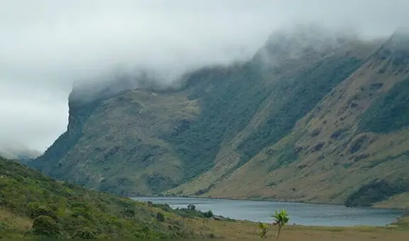 Las Huaringas: ¿qué son y qué propiedades se le atribuye?