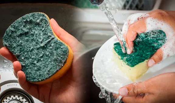 ¿Qué hacer para que mi esponja de cocina dure más tiempo?