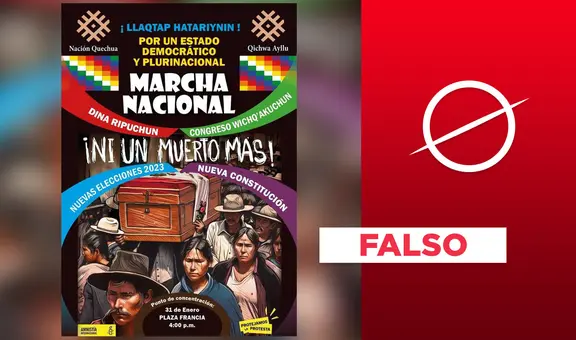 Amnistía Internacional no fue autora de afiche que convocó una “marcha nacional” para el 31 de enero