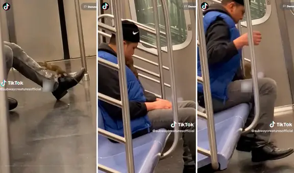 Pasajero se queda dormido en el metro y una rata aprovecha para subirse al cuello