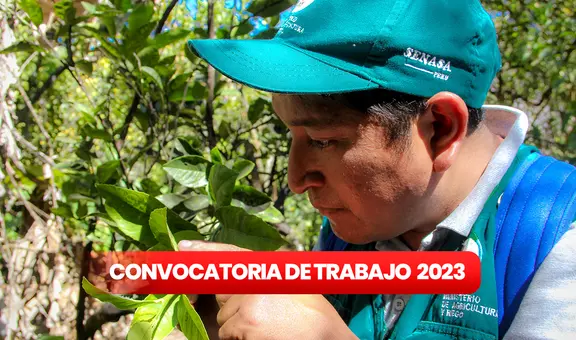 ¿Acabaste la secundaria? Senasa lanza convocatoria de trabajo con sueldos entre S/1.025 y S/6.500