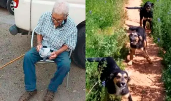 Rescatan a hombre de 103 años de incendio en Chile, pero sus perros no logran escapar