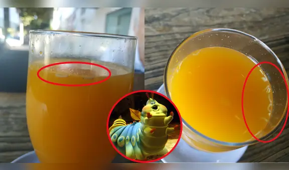 Joven pidió un zumo de naranja en el bar y terminó horrorizada: "Fibra y proteínas por solo €2,5"