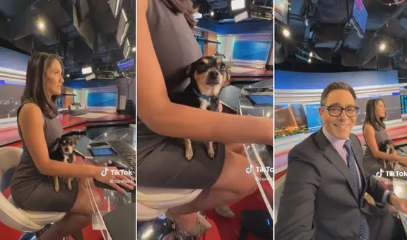 Conductora de noticias no pudo dejar solo a su perrito y salió al aire con él en sus piernas