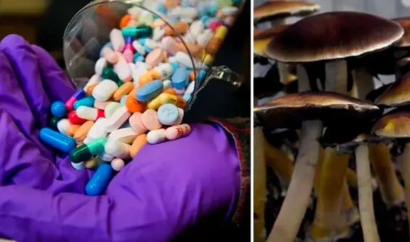 Australia legalizará el éxtasis y hongos alucinógenos para tratamientos psiquiátricos: ¿qué tan efectivos son?