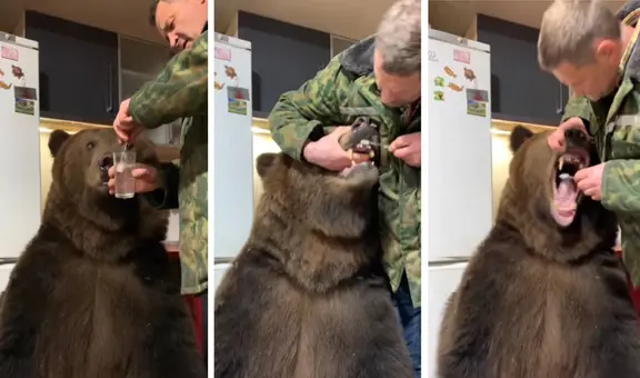 Oso sorprende al dejarse lavar los dientes por su dueño y escena se hace viral