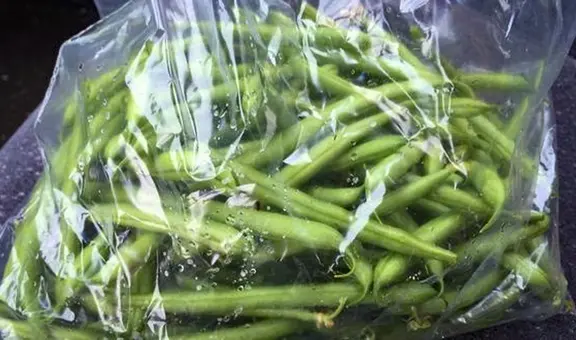 ¿Por qué no es recomendable guardar las verduras en bolsas de plástico dentro del refrigerador?