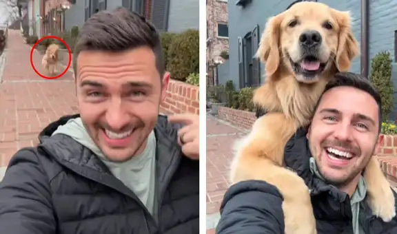 Perrito golden se sube a la espalda de su dueño y posa con una sonrisa para la foto