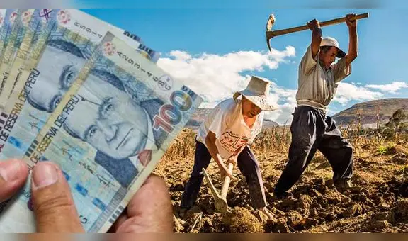 Bono Agrario 2023: LINK oficial para consultar con tu DNI y saber si eres beneficiario