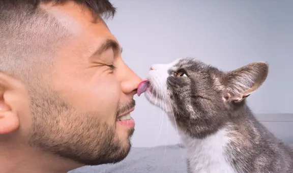 ¿Cómo saber si mi gato me quiere? Estas 4 señales confirman que te aprecia mucho