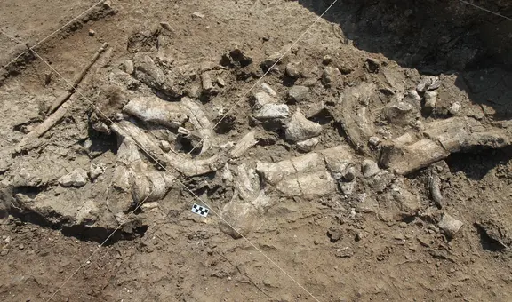 Herramientas de hace 3 millones de años no fueron hechas por humanos, sugiere estudio