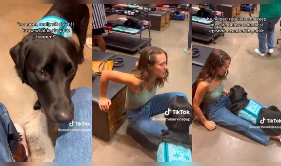 Tierno perro sorprende al ayudar a su dueña a prevenir un episodio nervioso en centro comercial