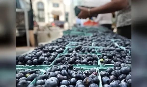 Agroexportaciones crecieron 13% en 2022 y completaron 7 años de avance consecutivo