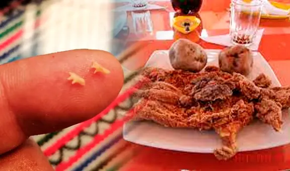 El zorrito: ¿en qué parte del cuy se encuentra este hueso y por qué es tan buscado?