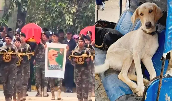 Marquito: perro policía muere tras emboscada en el Vraem que dejó 7 agentes fallecidos