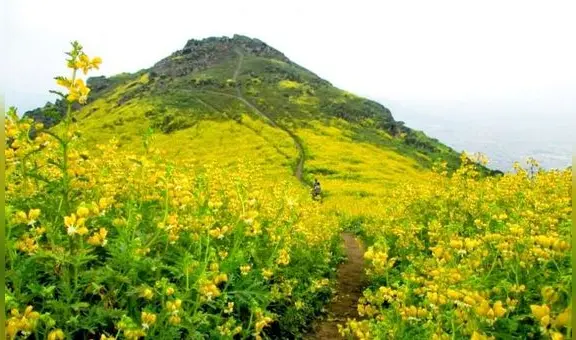 ¿Te gusta el trekking? Estas son las 9 lomas que puedes visitar sin salir de Lima