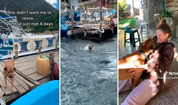 Perrita se encariña con turista y se lanza al mar para seguirlo de regreso a su país: "Dime que la llevaste"