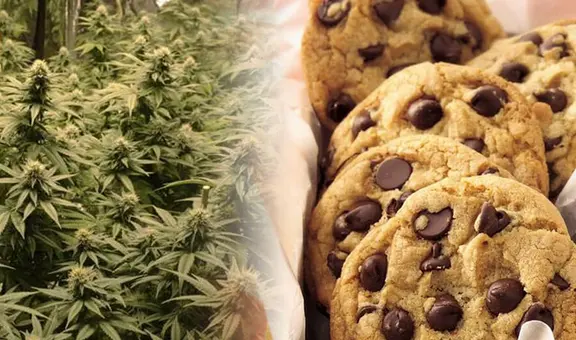 Descubren a mujer que intentaba ingresar galletas con marihuana a cárcel para su hijo preso