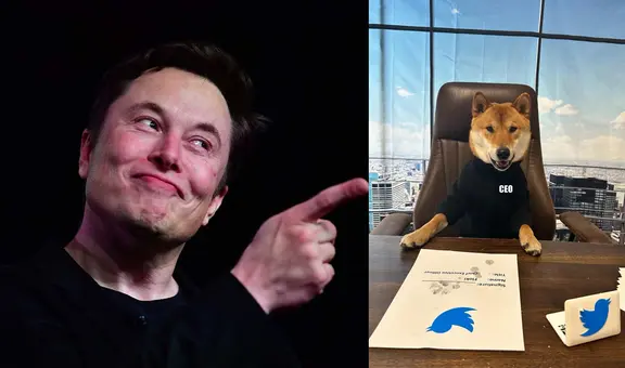 ¿Elon Musk halló un nuevo CEO para Twitter? Millonario bromea y muestra a perro en su puesto