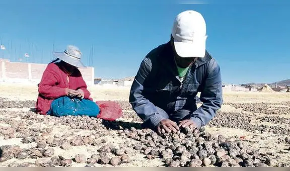 Gobierno anuncia plan para reducir la pobreza en el país