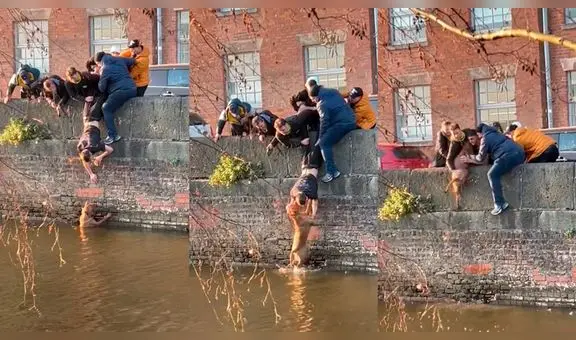 Perrito cae a canaleta de agua y jóvenes lo rescatan de una ingeniosa manera