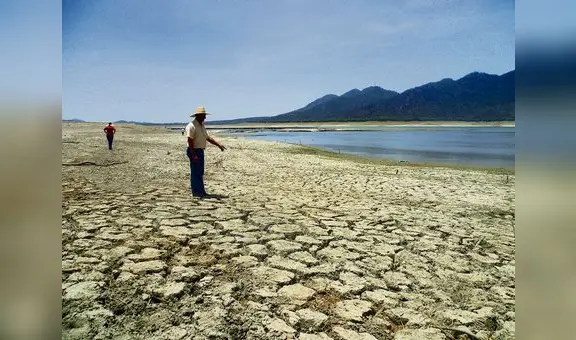Falta de lluvias en el medio y bajo Piura pone en riesgo 50.000 hectáreas de cultivos