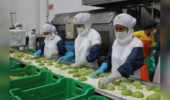 Empleos en el sector exportador lograron cifra récord y superaron los 4,1 millones en 2022