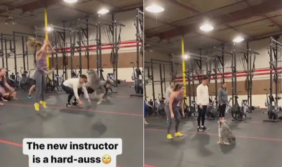 Perrito va con su dueña al gimnasio e imita toda la rutina de ejercicios: “Tiene más físico que yo”