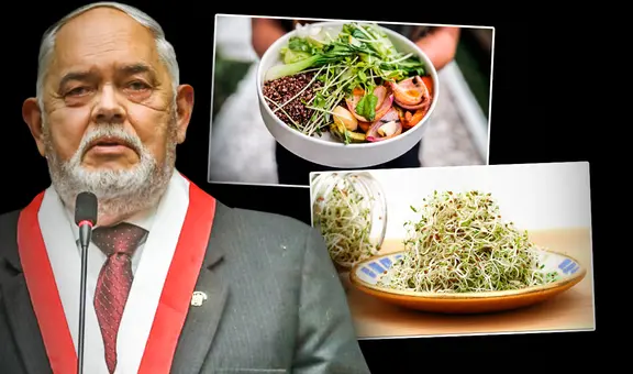 ¿Comida de tercera? Conoce estas 3 recetas fáciles y nutritivas con alfalfa