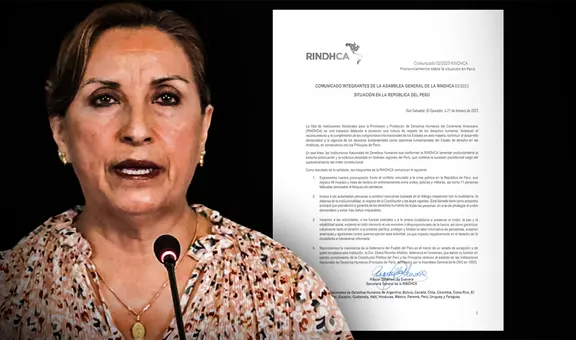 Instituciones Nacionales de Derechos Humanos lamentan “la extrema polarización y violencia” en el Perú