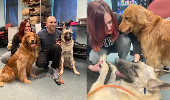 Perrito que sobrevivió a disparo fue adoptado por policía que lo socorrió