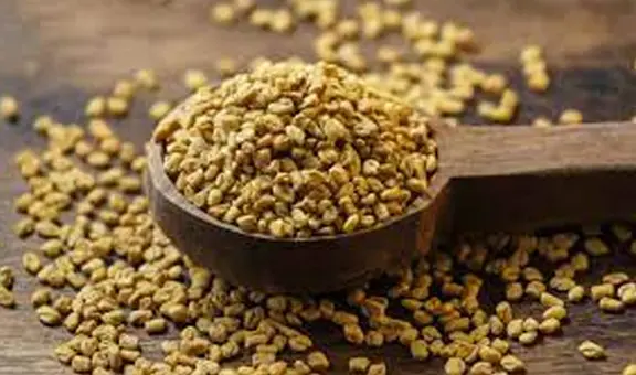 Semillas de fenogreco: el extraordinario alimento para aumentar glúteos y busto