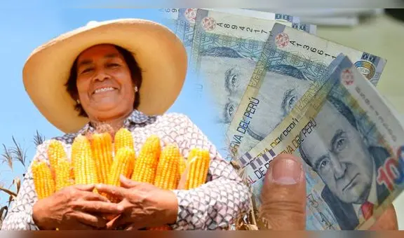 Bono Agrario 2023: LINK oficial para consultar con tu DNI y saber si eres beneficiario