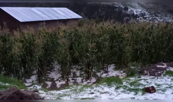 Pronostican bajas temperaturas en Cusco y Madre de Dios