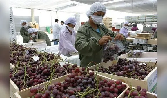 Agroexportaciones alcanzaron los US$9.807 millones durante el 2022