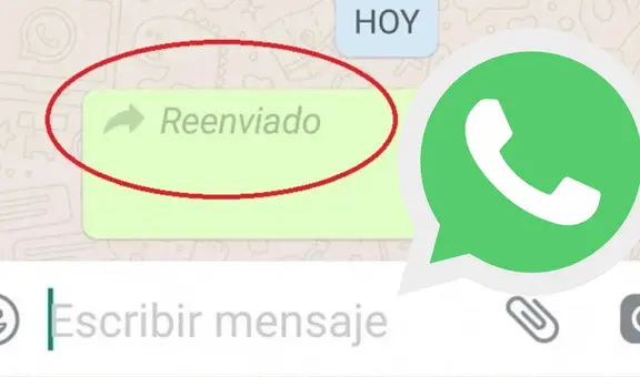 ¿Cómo reenviar fotos y memes en WhatsApp sin que aparezca la etiqueta de 'reenviado'?