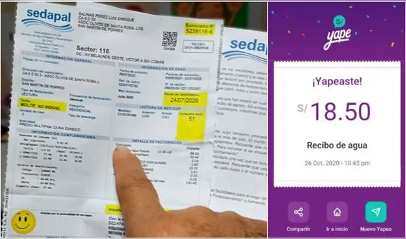 Sedapal: ¿puedo pagar mi recibo de agua con Yape?
