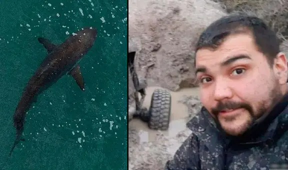 Hallan dentro de tiburón los restos de hombre desaparecido: lo reconocieron por su tatuaje