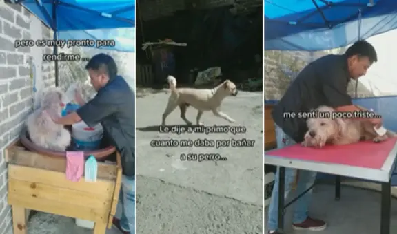Abre su negocio para bañar a perritos, pero su primer cliente se va sin pagar