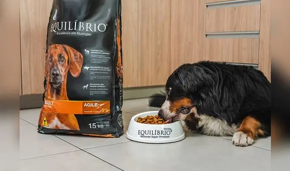 Encuentra el “Equilíbrio” perfecto que tu mascota necesita este verano