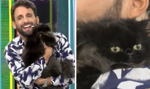 Rodrigo González sorprendió al aparecer EN VIVO junto a su gatita y generó ternura