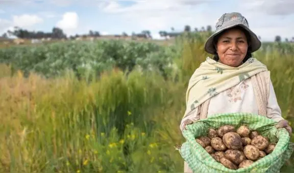FertiAbono II se pagará desde el 3 de marzo: de cuánto será el monto, beneficiarios y más detalles