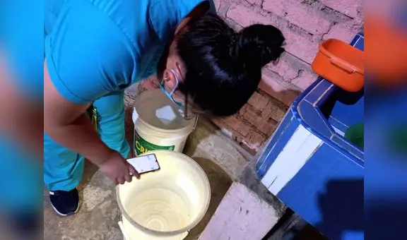 Lambayeque: se registraron más de 40 nuevos casos de dengue en una semana