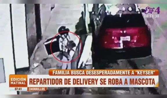 Chorrillos: repartidor de delivery acude a dejar pedido y se roba a mascota de familia