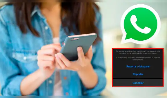 ¿Sabes qué pasa si presionas el botón para reportar en WhatsApp?