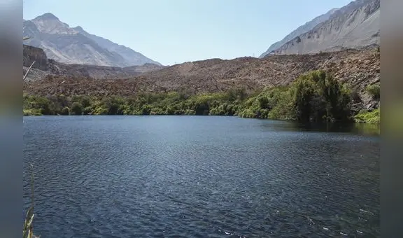 Arequipa no produce energía para satisfacer sus necesidades